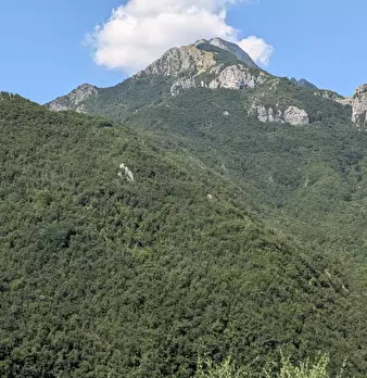 Foto annuncio 10