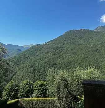 Foto annuncio 18