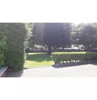 Foto annuncio 5