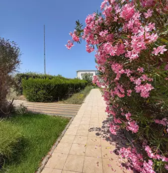 Foto annuncio 22