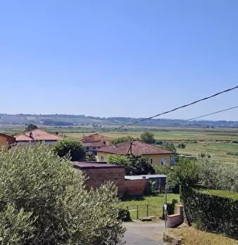 Foto annuncio 28