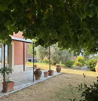 Foto annuncio 2
