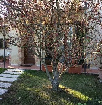 Foto annuncio 2
