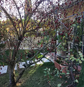 Foto annuncio 5