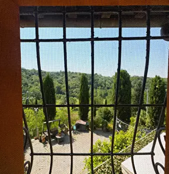 Foto annuncio 11