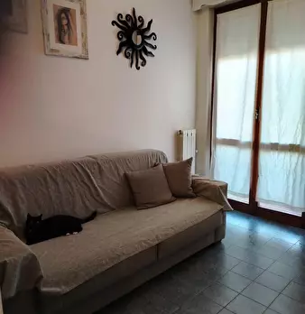 Foto annuncio 12