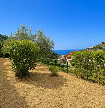 Foto annuncio 38