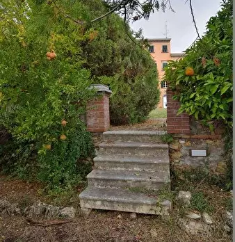Foto annuncio 7