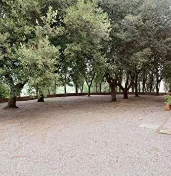 Foto annuncio 45