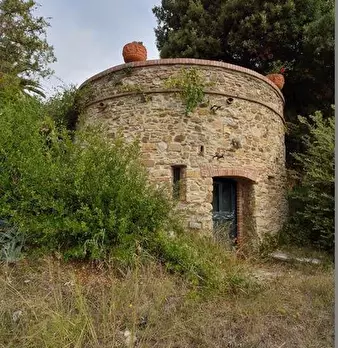 Foto annuncio 6