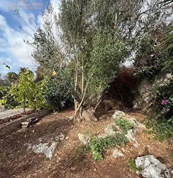 Foto annuncio 17