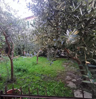 Foto annuncio 12