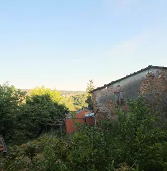 Foto annuncio 16