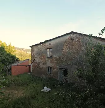 Foto annuncio 14