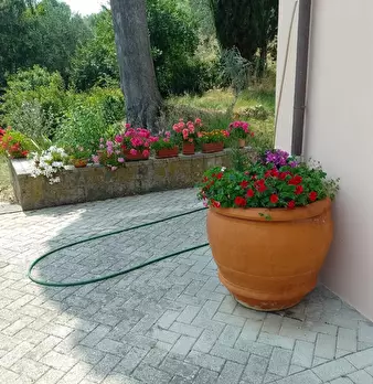 Foto annuncio 3