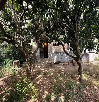 Foto annuncio 43
