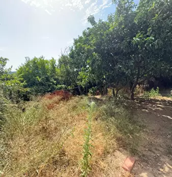 Foto annuncio 45
