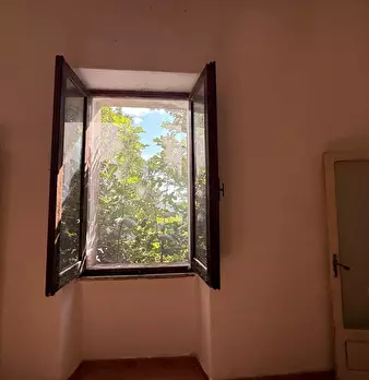 Foto annuncio 39