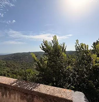 Foto annuncio 28