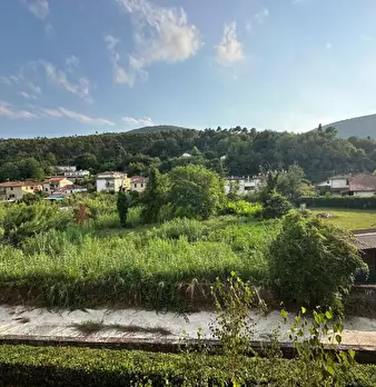 Foto annuncio 9