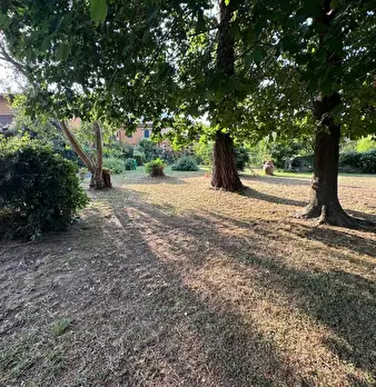 Foto annuncio 29