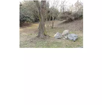 Foto annuncio 35