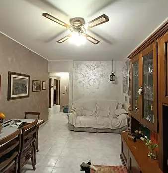 Foto annuncio 7