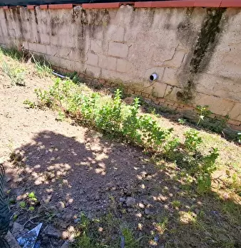 Foto annuncio 15