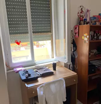 Foto annuncio 13