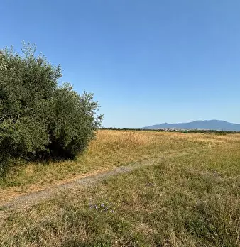 Foto annuncio 10