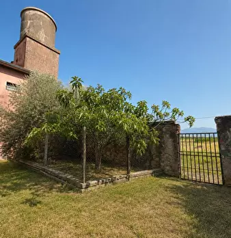 Foto annuncio 11