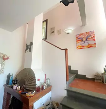 Foto annuncio 49