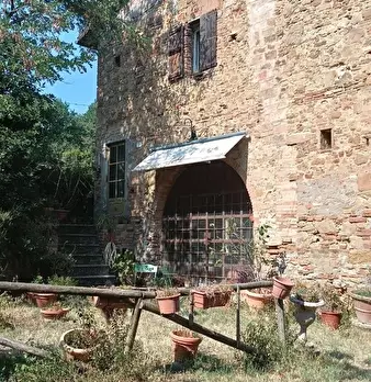 Foto annuncio 4