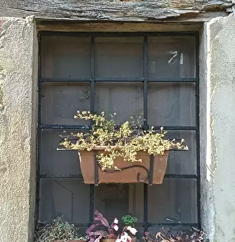 Foto annuncio 27