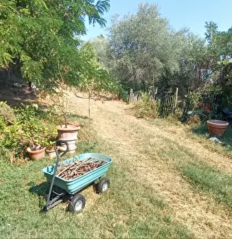 Foto annuncio 29