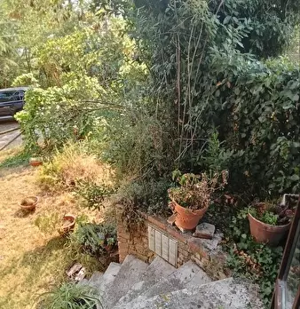 Foto annuncio 22