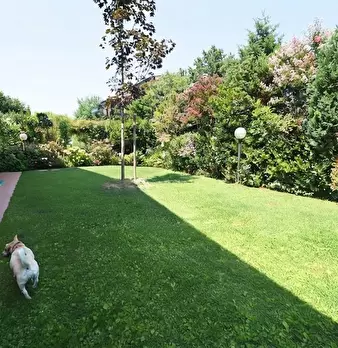 Foto annuncio 4