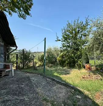 Foto annuncio 28