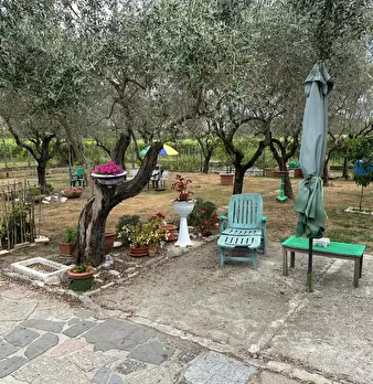 Foto annuncio 7