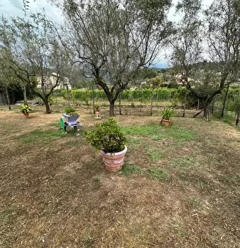 Foto annuncio 5