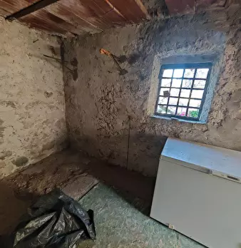 Foto annuncio 28