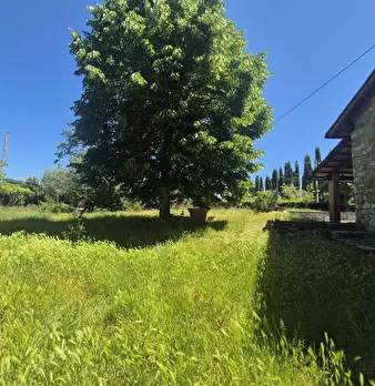 Foto annuncio 19