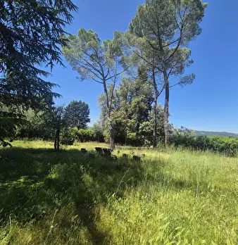 Foto annuncio 20