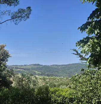 Foto annuncio 21