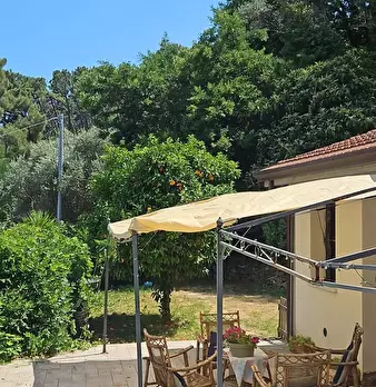 Foto annuncio 7