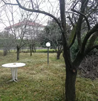 Foto annuncio 14