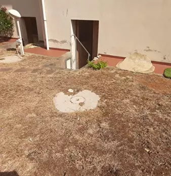 Foto annuncio 26