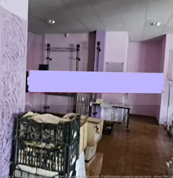 Foto annuncio 3