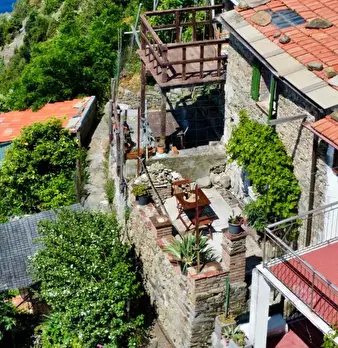 Foto annuncio 6