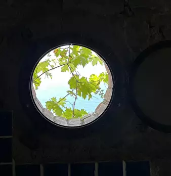 Foto annuncio 19